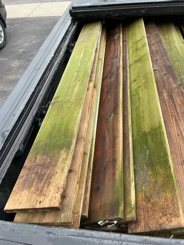 free wood available