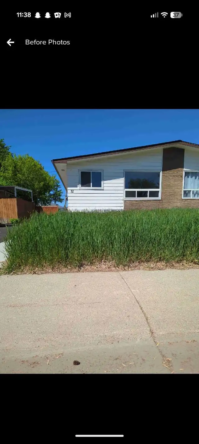 affordable lawn care and exterior pressure washing - Photo 2