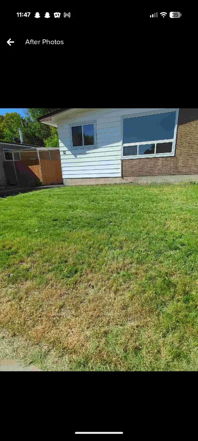 affordable lawn care and exterior pressure washing - Photo 3