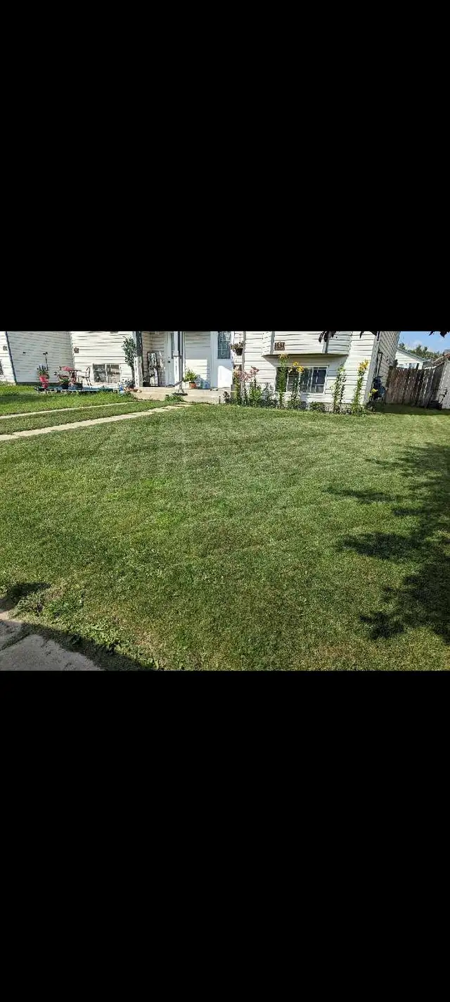 affordable lawn care and exterior pressure washing - Photo 4