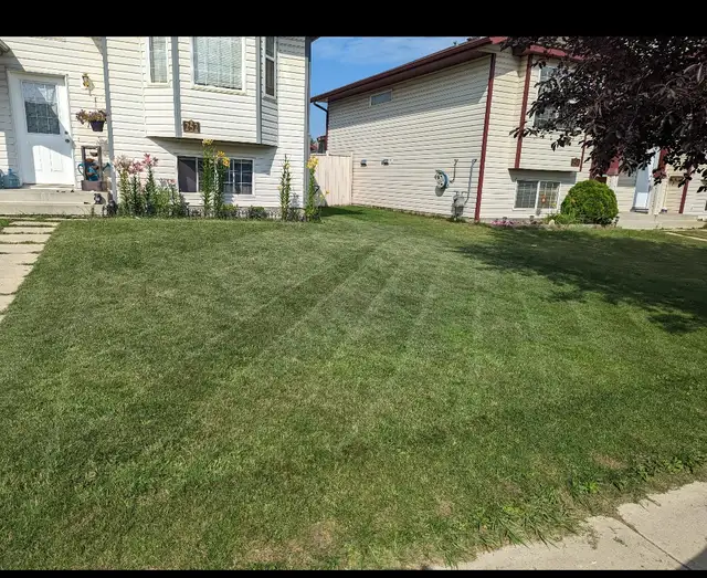 affordable lawn care and exterior pressure washing - Photo 5