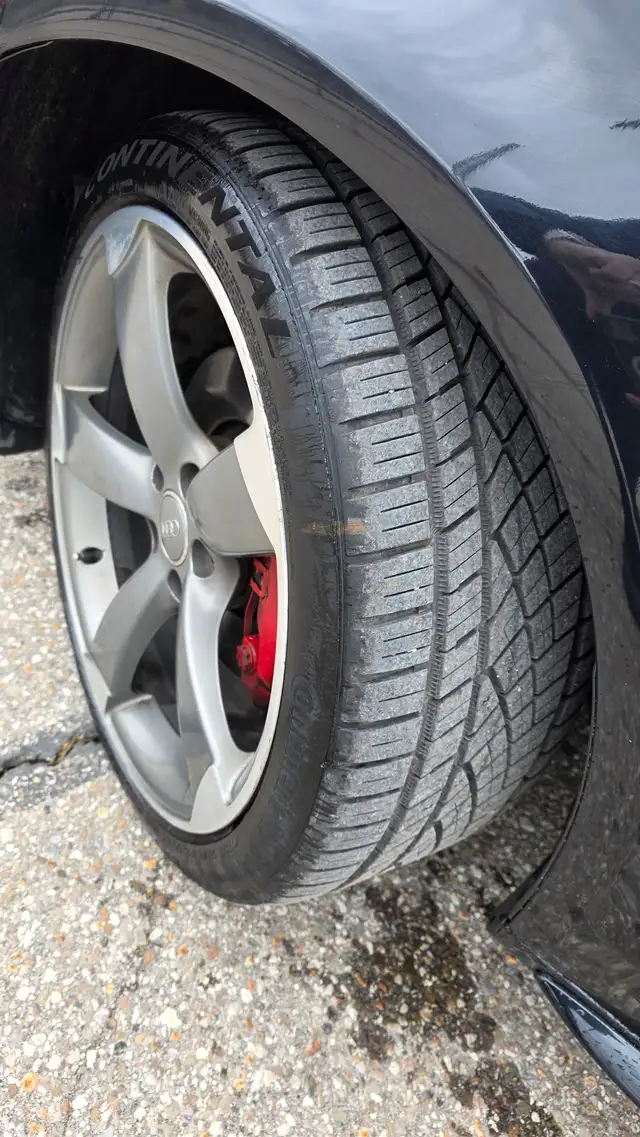 2014 Audi A4 Progressiv - S- LINE- LOW KMS- LOADED-CERTIFIED-LIK - Photo 12