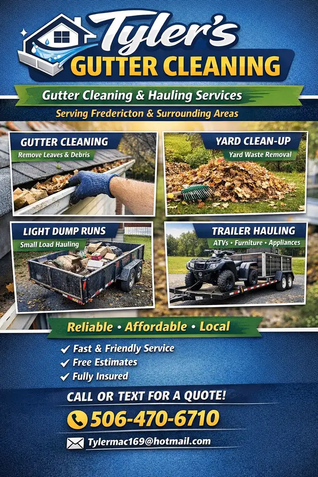 gutter cleaning