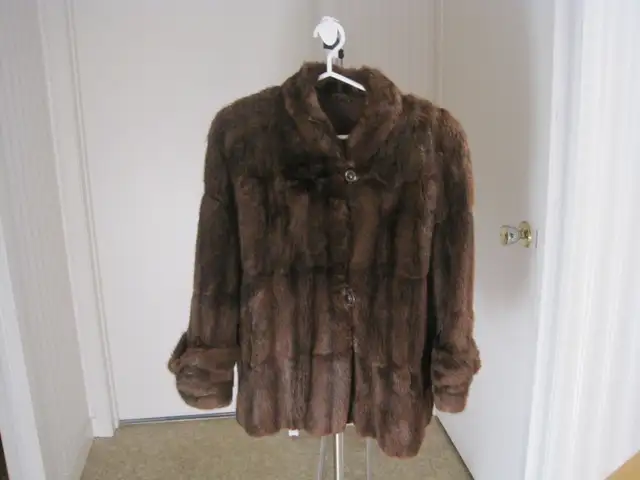Très beau manteau en fourrure de rat musqué / muskrat fur coat
