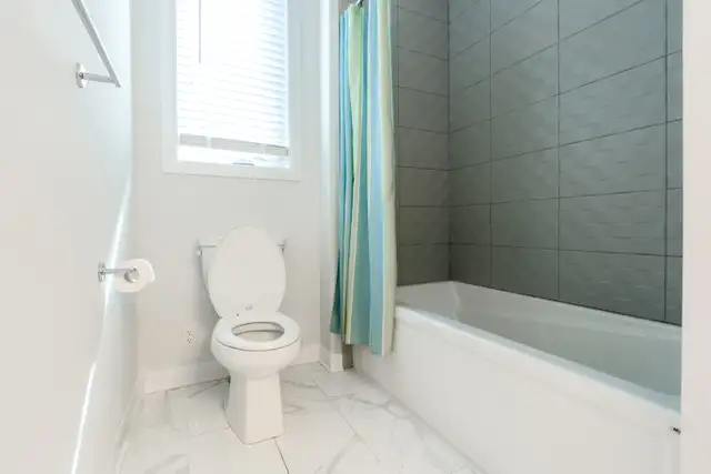 Orleans spacious bedroom with private bathroom for rent $950 - Photo 5
