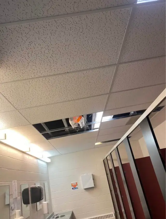 All your drywall needs - Photo 5