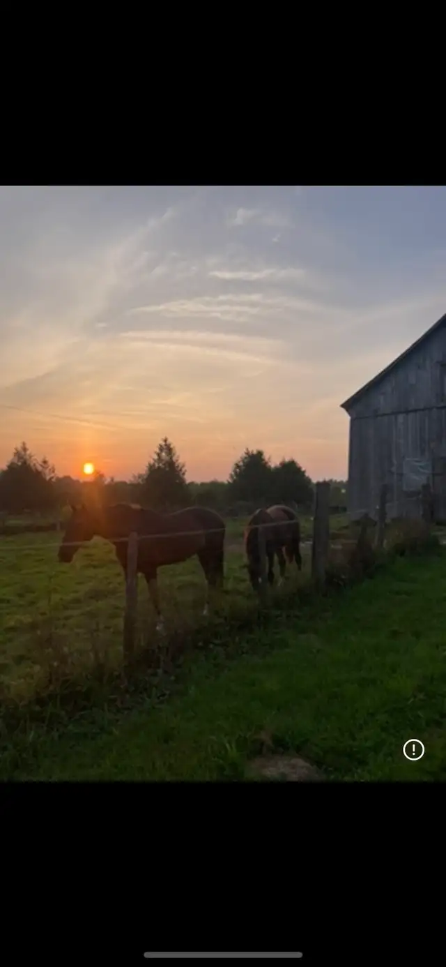 ROOM AVAILABLE ON HORSR HOBBY FARM - Photo 10