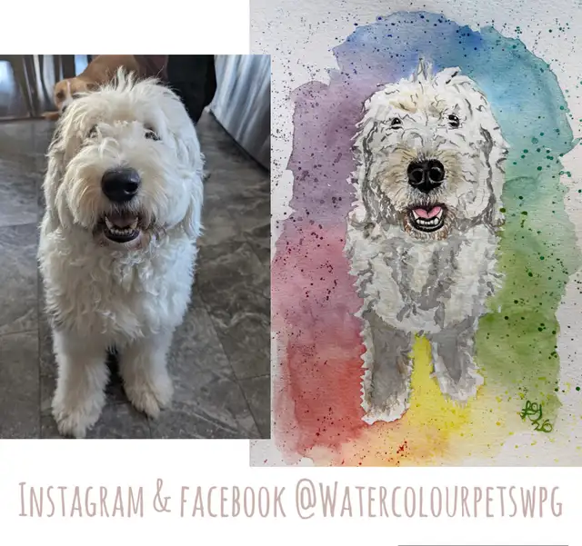 Personalized pet Portraits