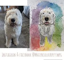 Personalized pet Portraits