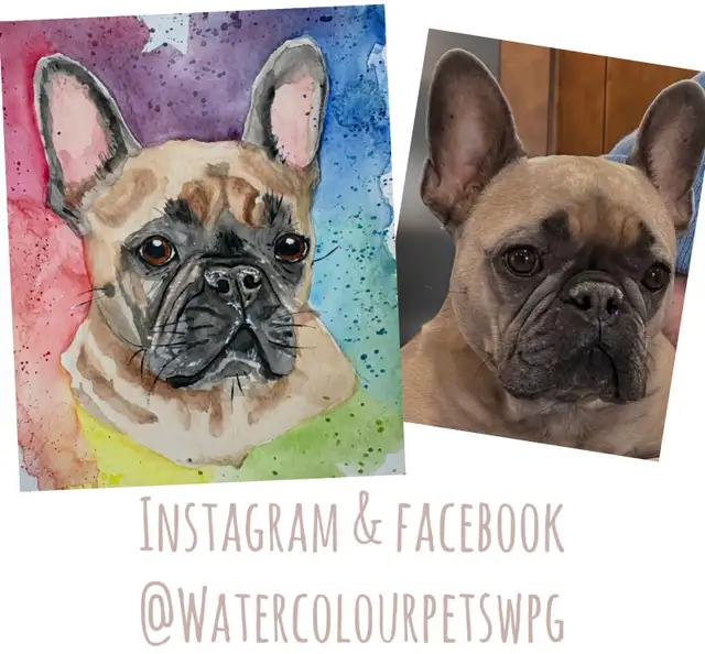 Personalized pet Portraits - Photo 2