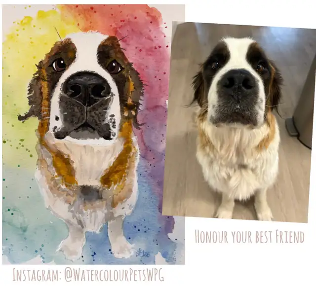 Personalized pet Portraits - Photo 9