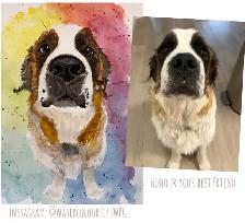 Personalized pet Portraits - Photo 9