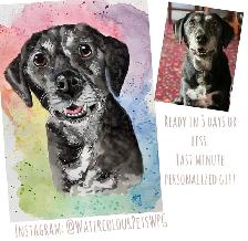 Personalized pet Portraits - Photo 10
