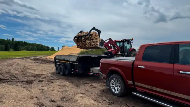 Firewood Sale: 2 cords Lodgepole Pine – Ready to deliver today! - Photo 3