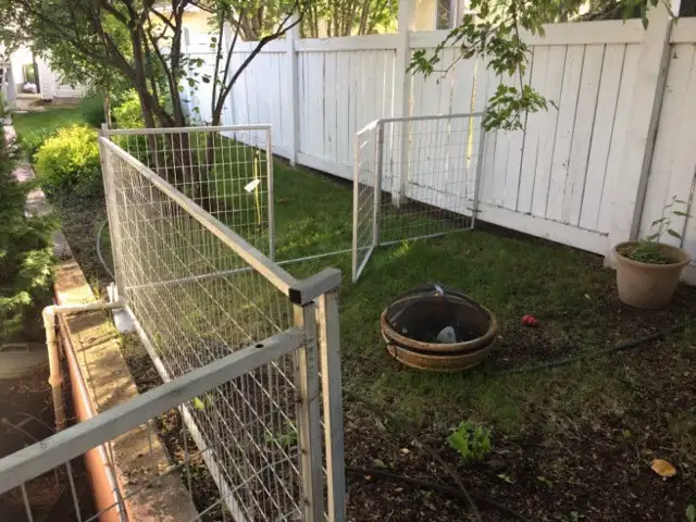 Customizable Dog Run - Photo 5