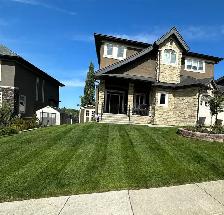 Work Outdoors, Get Paid Well – Join Our Lawn Crew