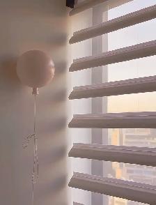 WINNIPEG Butterfly Blinds – Soft Elegance with Modern Function - Photo 9