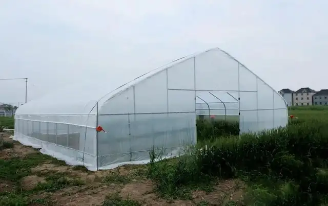 20′x30′x10′ Heavy-Duty Tunnel Greenhouse – Durable & Spacious