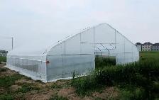 20′x30′x10′ Heavy-Duty Tunnel Greenhouse – Durable & Spacious