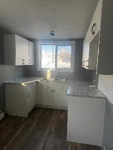 3 BEDROOM LOWER UNIT OF 4PLEX AVAILABLE APRIL 1 - Photo 2