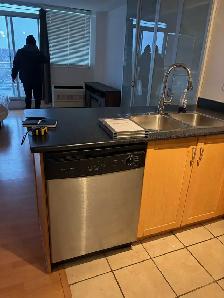 stainless steel dishwasher