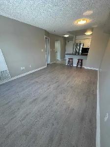1 Bedroom   1 Bathroom Condo for Rent – $1,900/month - Photo 2