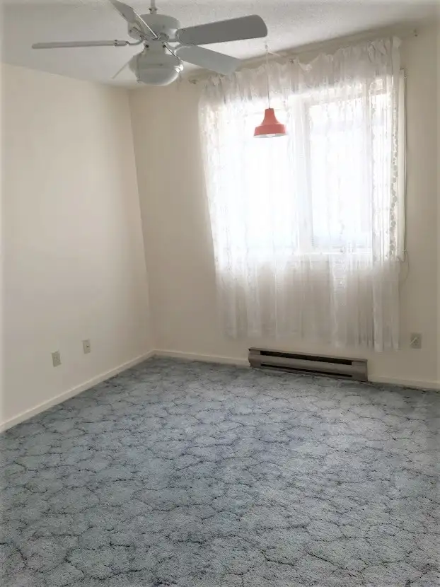 8 Bedroom house near Carleton. Avail May 1st, first month free - Photo 9