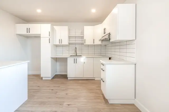 Magnifique 4 1/2 à louer à l'Assomption