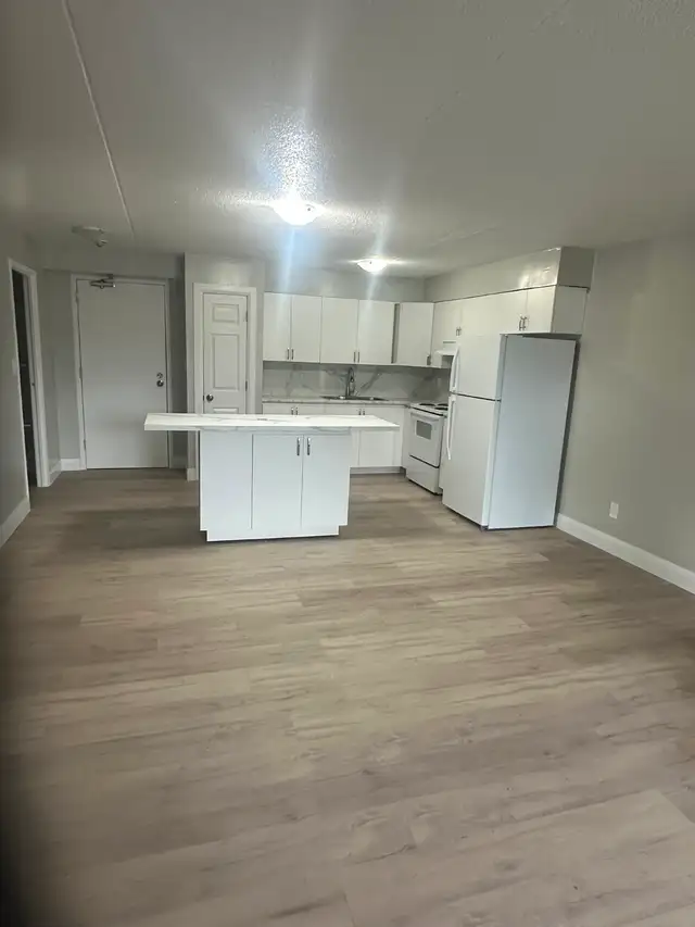 Main Floor 3 Bedroom Apartment Available Now in Minnow Lake Area