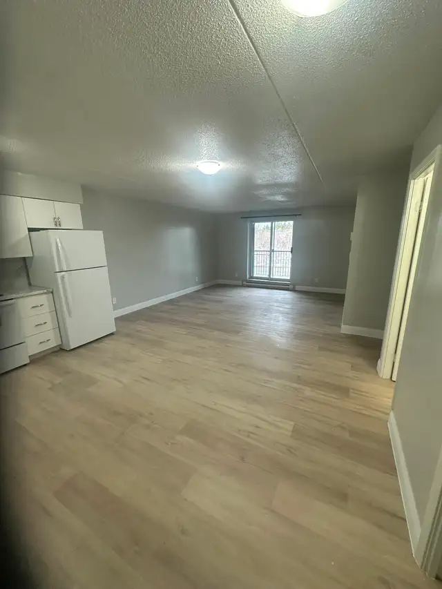 Main Floor 3 Bedroom Apartment Available Now in Minnow Lake Area - Photo 2