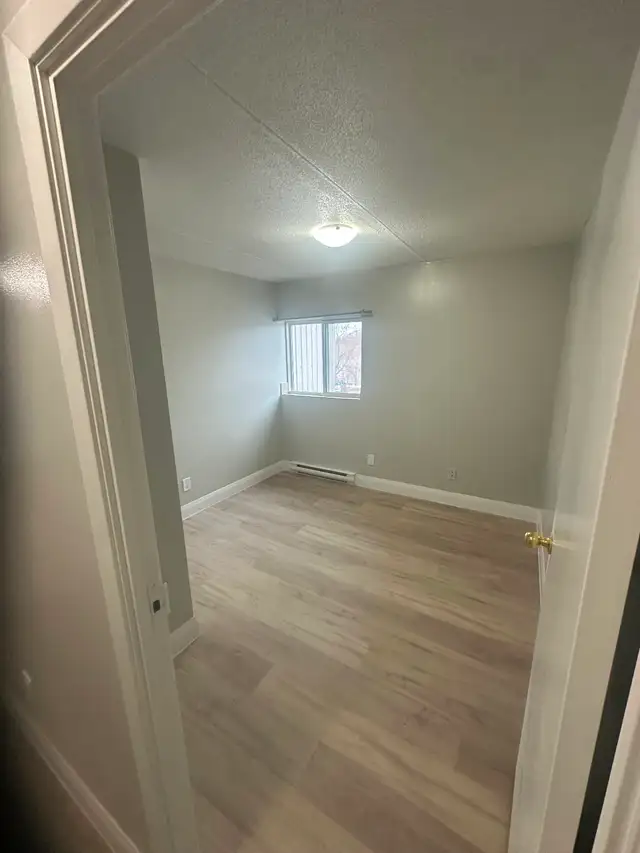 Main Floor 3 Bedroom Apartment Available Now in Minnow Lake Area - Photo 5