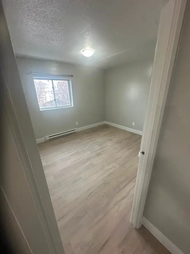 Main Floor 3 Bedroom Apartment Available Now in Minnow Lake Area - Photo 6