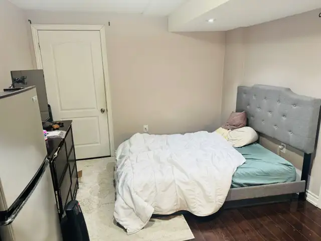 One bedroom in basement - Photo 4