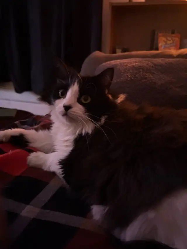 Arnaud, 4 ans , opérer