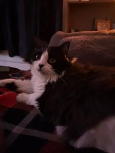 Arnaud, 4 ans , opérer