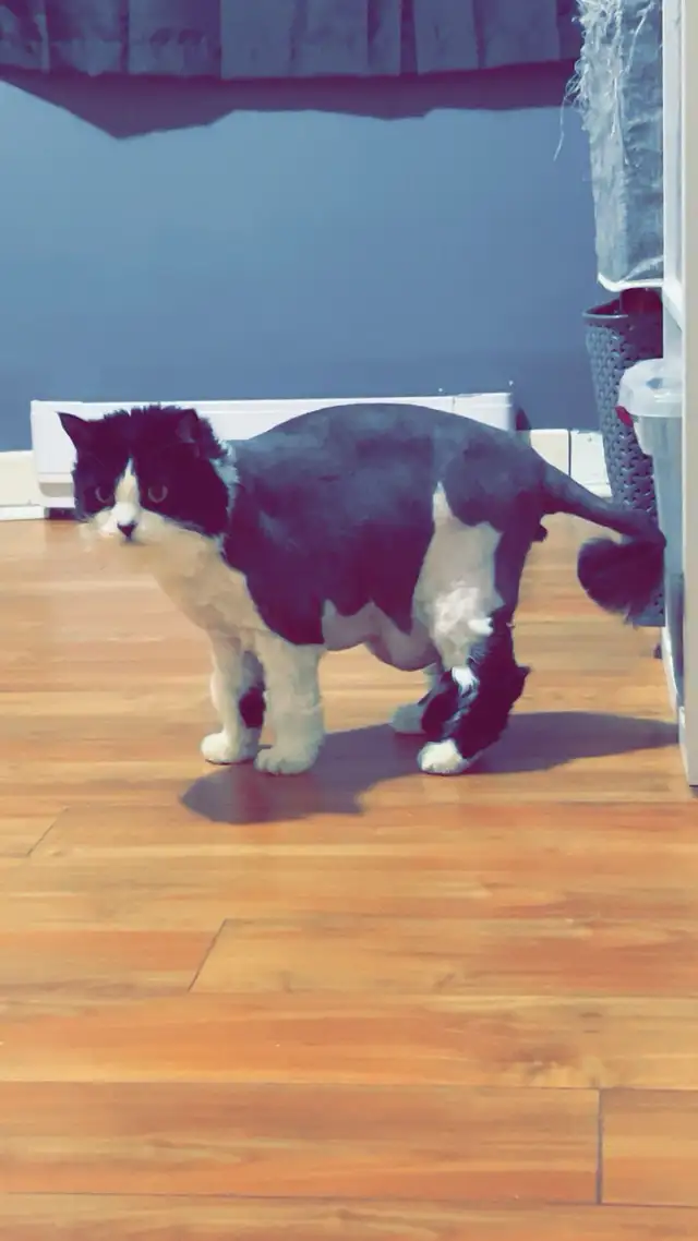 Arnaud, 4 ans , opérer - Photo 2