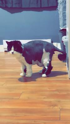 Arnaud, 4 ans , opérer - Photo 2