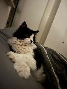 Arnaud, 4 ans , opérer - Photo 3