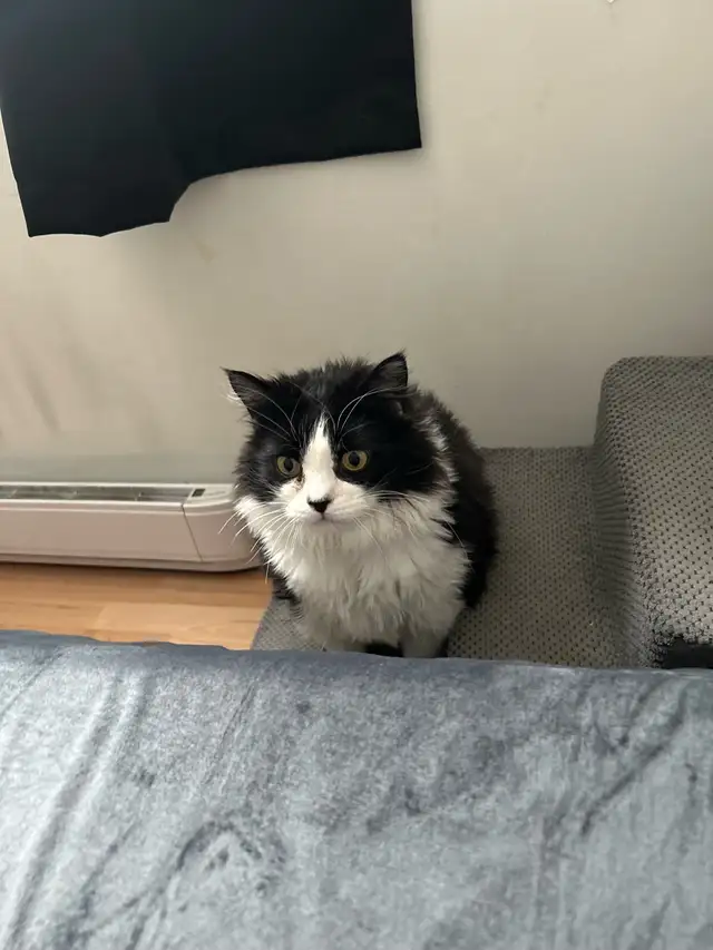 Arnaud, 4 ans , opérer - Photo 4