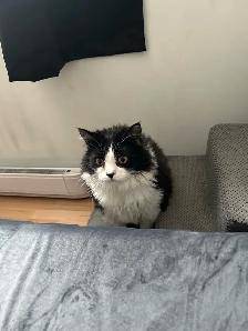 Arnaud, 4 ans , opérer - Photo 4