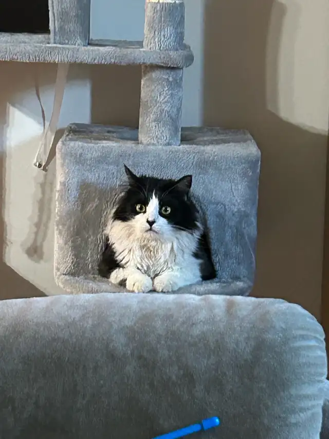 Arnaud, 4 ans , opérer - Photo 5