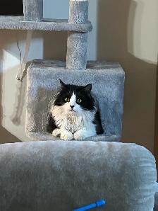 Arnaud, 4 ans , opérer - Photo 5