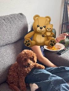 adorable surprise / belle surprise! - Photo 2