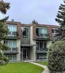 Updated 1 Bed Suite | Pet Friendly | In-Suite Laundry