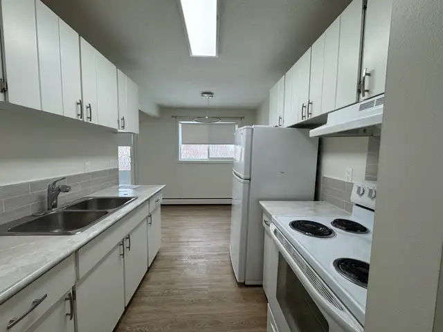 Updated 1 Bed Suite | Pet Friendly | In-Suite Laundry - Photo 2