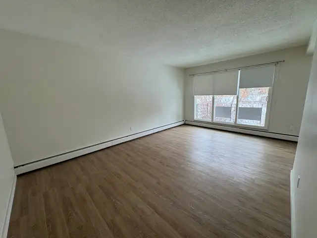 Updated 1 Bed Suite | Pet Friendly | In-Suite Laundry - Photo 4
