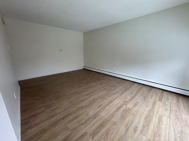 Updated 1 Bed Suite | Pet Friendly | In-Suite Laundry - Photo 5