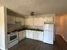 SPACIOUS – RENOVATED – PET FRIENDLY - Photo 4