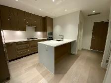 Luxury One Bedroom, One Den Apartment by QE Park for Rent!