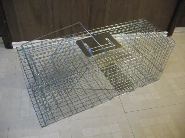 Raccoon/Small Animal Trap, BRAND NEW - Photo 2